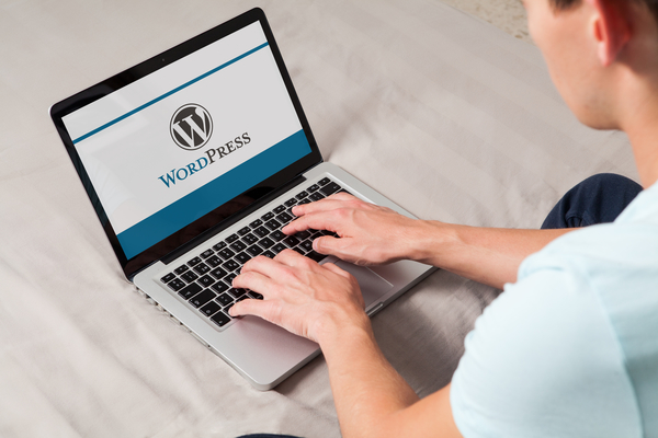 wordpress website developers